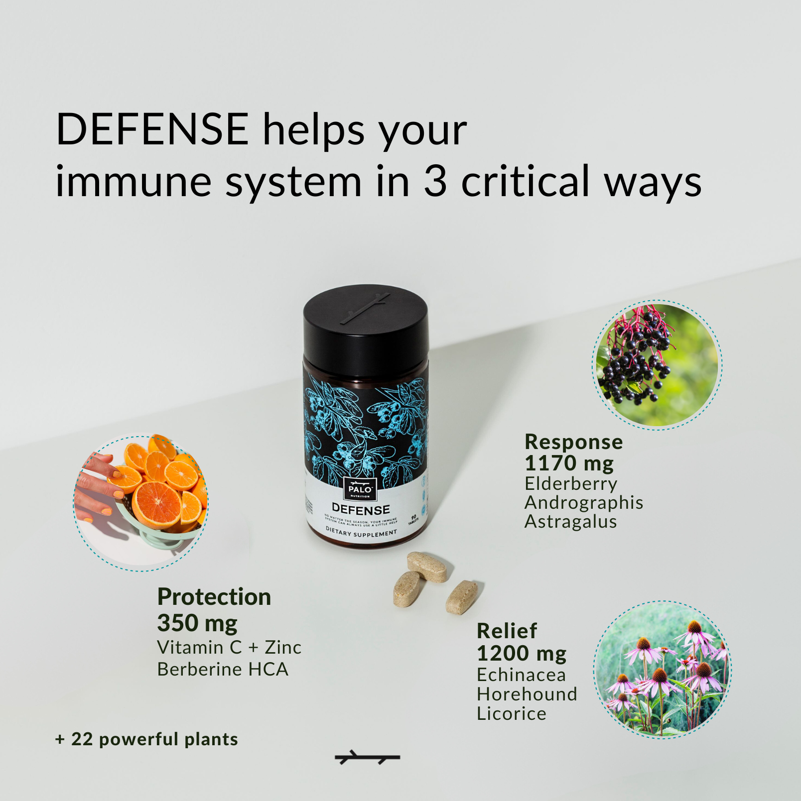DEFENSE IMMUNE SUPPORT - PALO NUTRITION