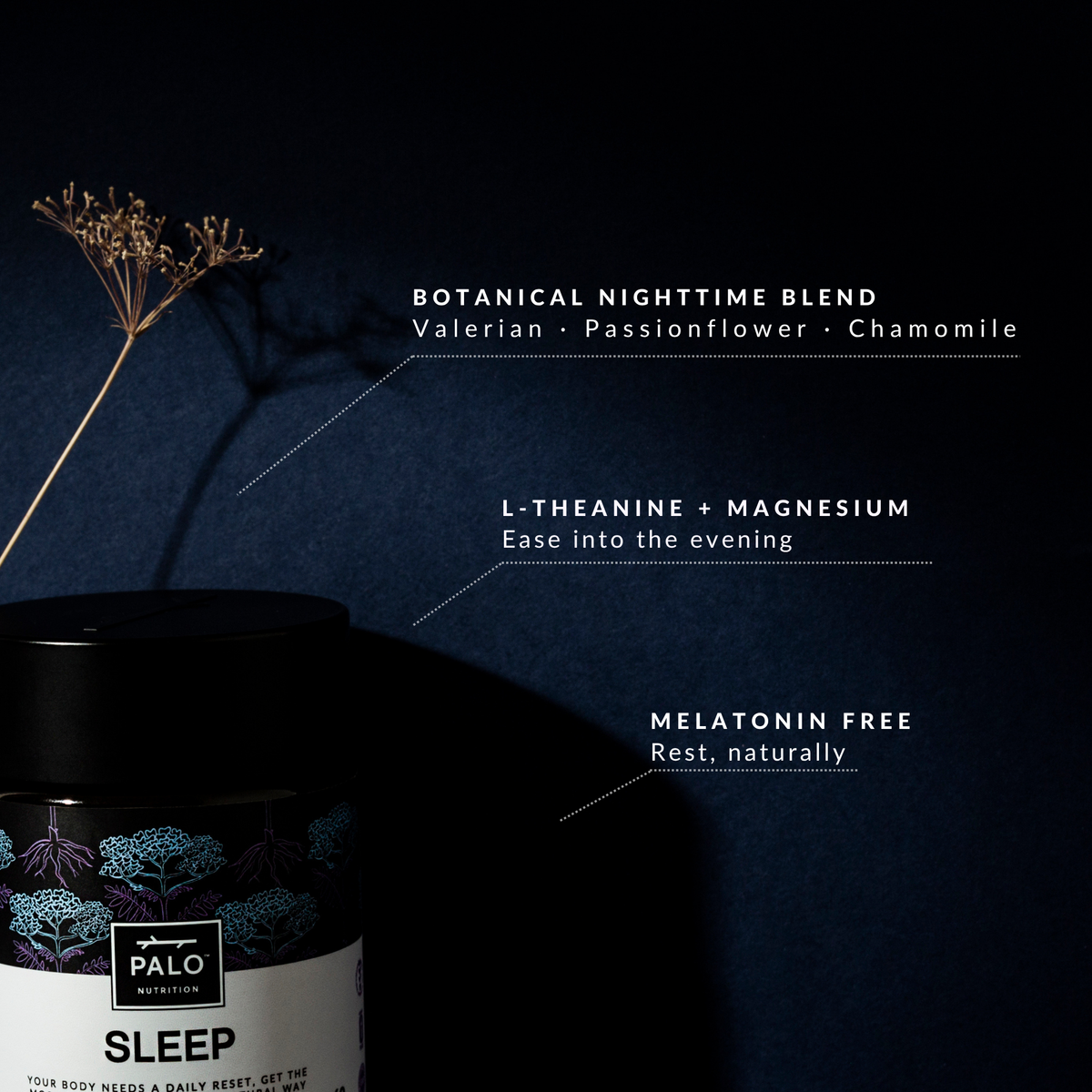 SLEEP