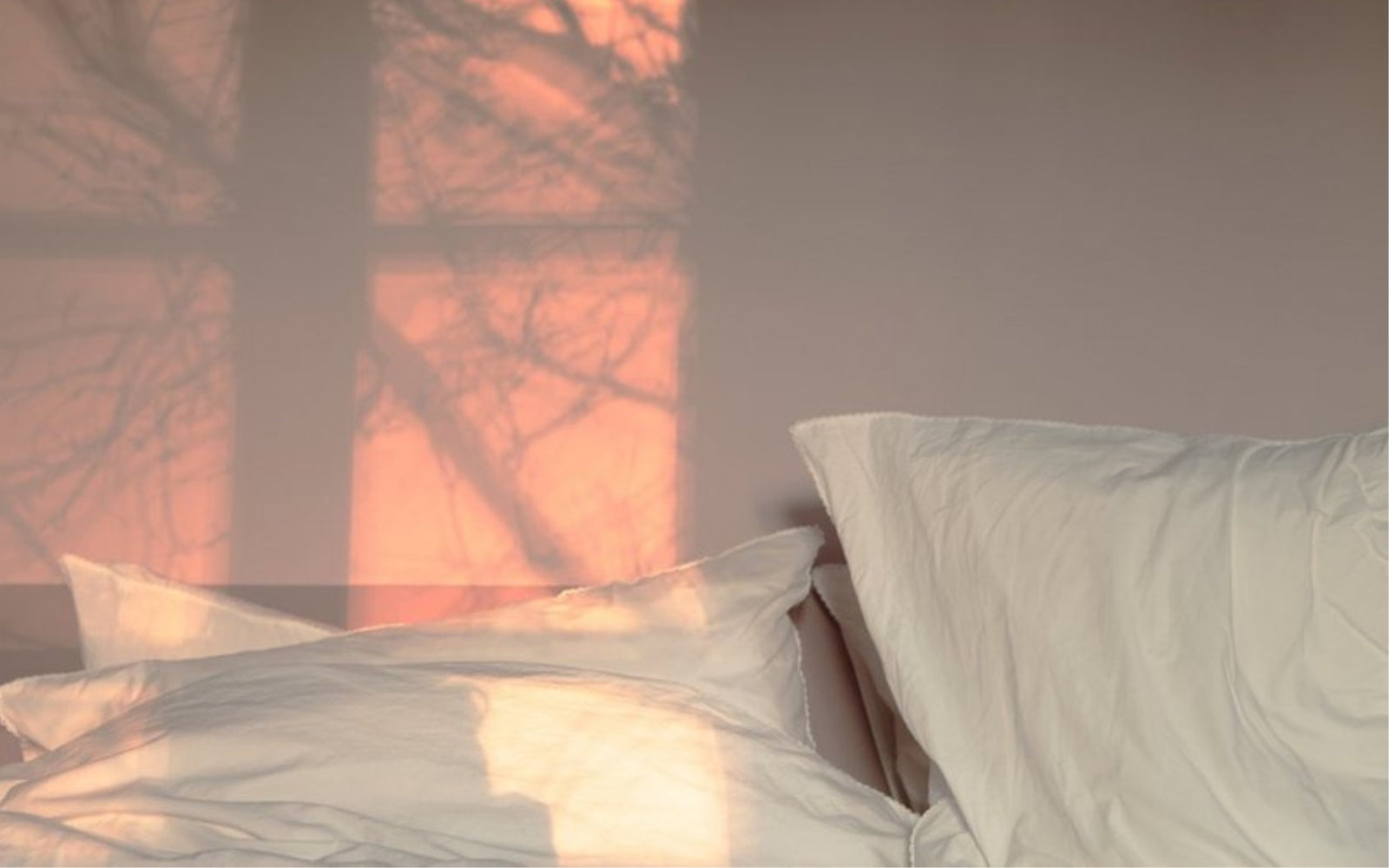 Why Sleep Is So Important?