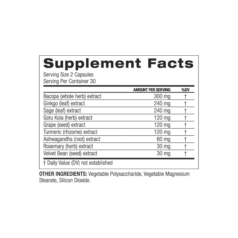 FOCUS - PALO NUTRITION