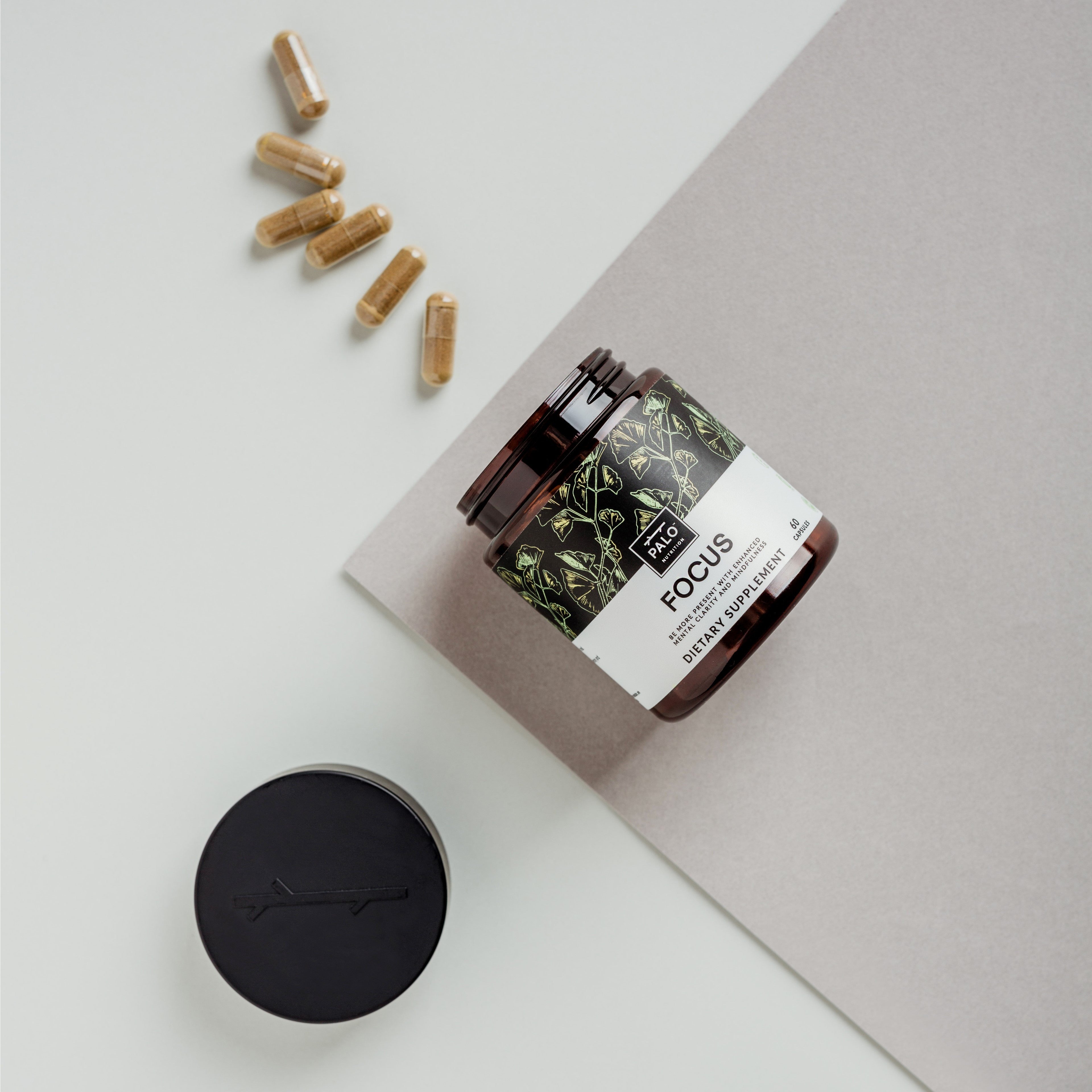 FOCUS - PALO NUTRITION